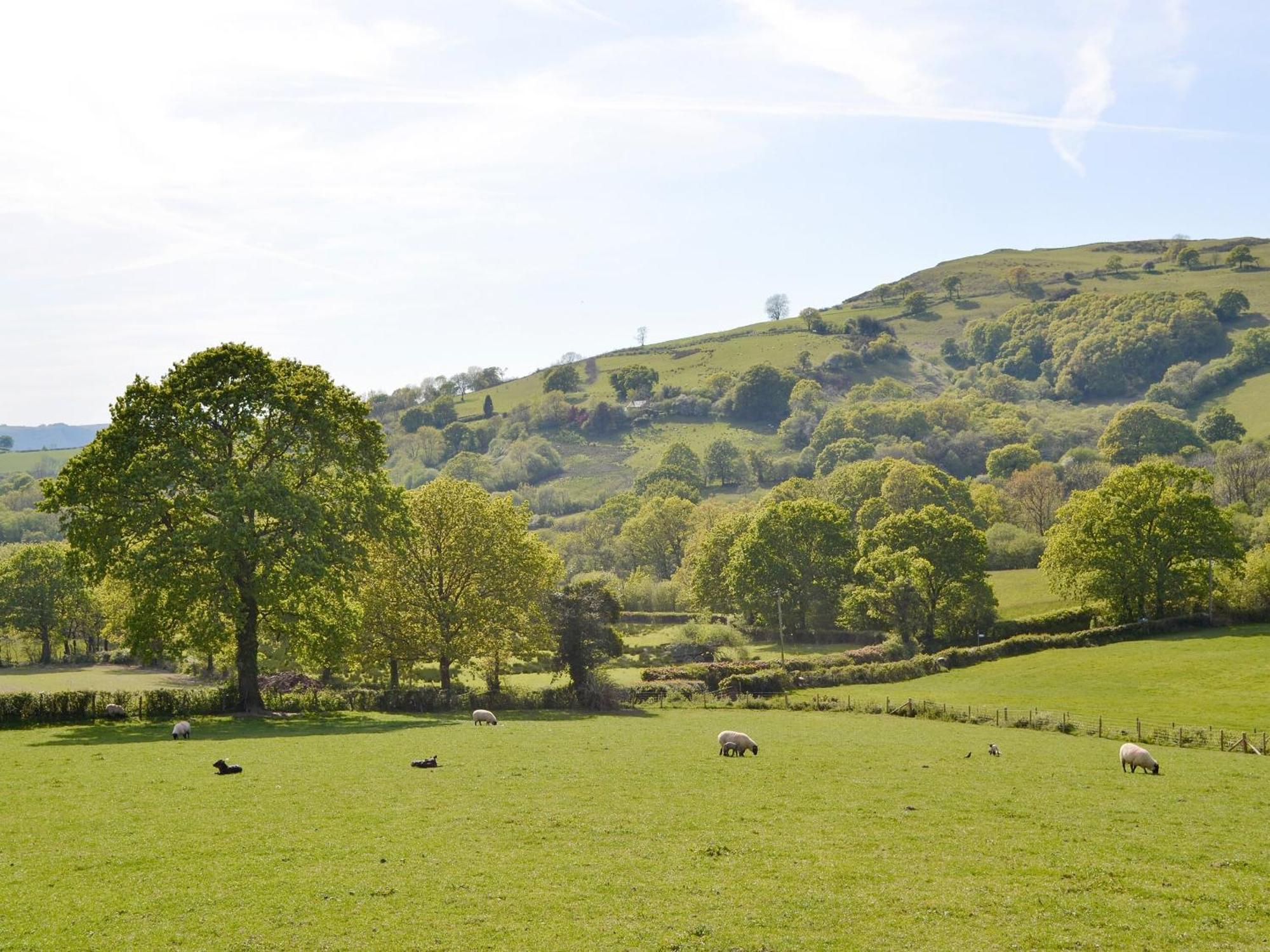 Maes Y Bryn Farmhouse Llanwrda Экстерьер фото